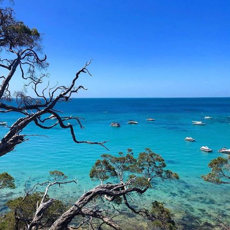 Lonely Planet on Instagram: “#LonelyPlanet writer @mcauliffeemily grabbed this stunning shot of Portsea on #Victoria's Mornington Peninsula, and was more than tempted…” Mornington Peninsula, Victoria Australia, Lonely Planet, Influencer, Planets, Vision Board, Australia, Collage, Water