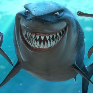 Bruce | Pixar Wiki | FANDOM powered by Wikia Kid Friendly Movies, Finding Nemo Characters, Shark Tale, Disney Finding Nemo, Shark Bait, Leagues Under The Sea, Warren Buffett, Pixar Movies, Shark Week