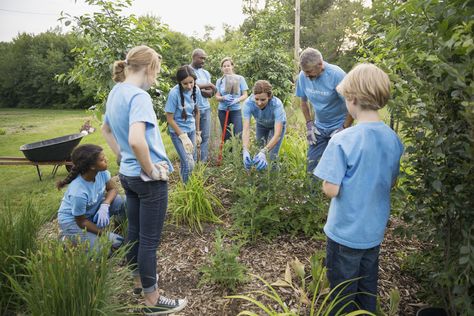 Discover Christian environmental organizations that help us understand the importance of environmental stewardship. World Environment Day Activities, Environment Day Activities, Volunteering Ideas, Activities Ideas, Environmental Studies, Environment Day, World Environment Day, Environmental Education, Environmental Conservation