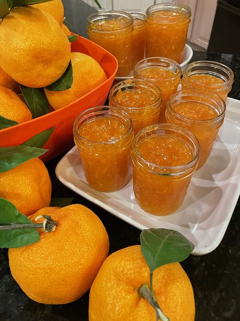 Satsuma Mandarin Orange Marmalade | Hot Sweet Spicy Recipes Preserving Mandarin Oranges, Spiced Orange Jam, Satsuma Marmalade Recipes, Satsuma Jelly Recipes, Satsuma Jam Recipe, Satsuma Jelly, Satsuma Recipes, Mandarine Recipes, Homemade Marmalade