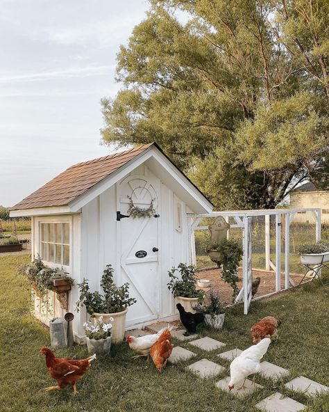 Cute Chicken Coops, Chicken Coop Garden, Backyard Chicken Coop Plans, Backyard Chicken Farming, Dream Life House, Coop Plans, Backyard Chicken Coops, Cute Chickens, Backyard Farming