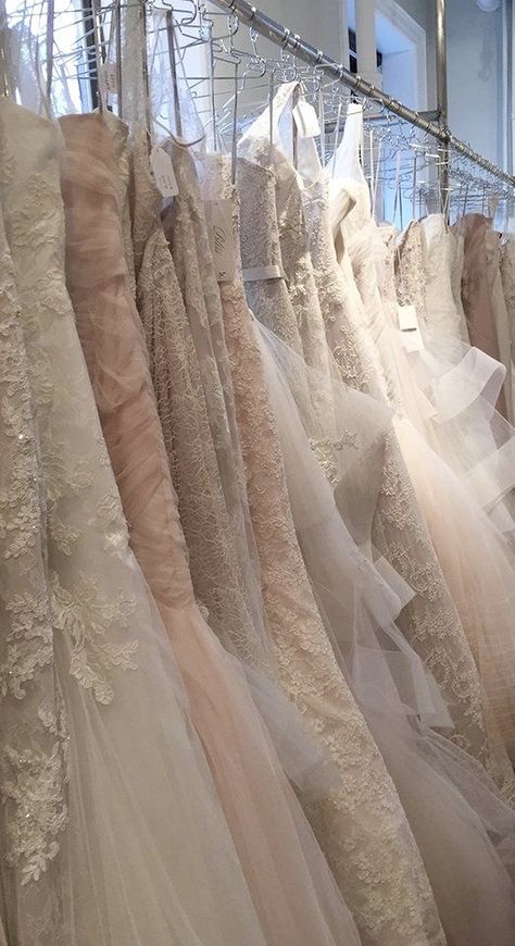 Bridal Store Aesthetic, Bridal Boutique Aesthetic, Coquette Wedding Dress Aesthetic, Coquette Wedding Venue Aesthetic, Luxury Princesscore Wedding Dresses, Summer Wedding Coquette Dress, Star Rings, The Cardigans, Royal Aesthetic