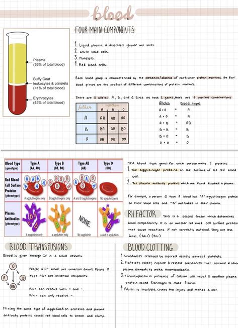 Learn Biology, Nursing School Essential, Medicine Notes, Nurse Study Notes, Nursing Schools, Medical Student Study, Nursing School Survival, Study Flashcards, Biology Lessons