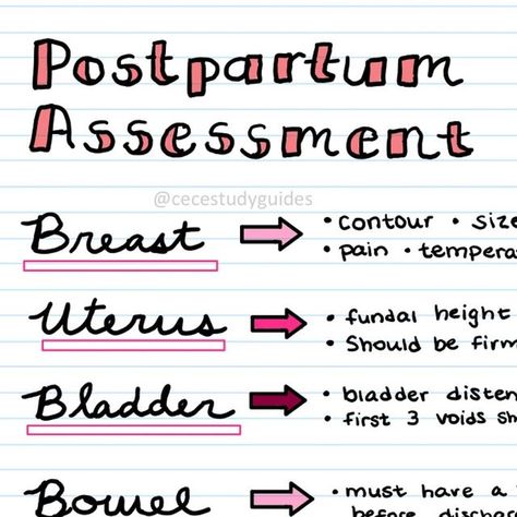 Chelsea Reinhardt on Instagram: "Essential postpartum assessment: BUBBLE
 * Breasts: size/fullness, pain, temperature
 * Uterus: fundal height, firmness, midline
 * Bladder: distention, voids >150 mL
 * Bowel: BM before discharge
 * Lochia: color changes over days
 * Episiotomy: healing, report issues to provider" Postpartum Assessment, Fundal Height, Pregnancy Medication List, Postpartum Healing Timeline, Period Vs Pregnancy Symptoms, Abdominal Binder Post Pregnancy, Pregnancy Symptoms After Missed Period, Nursing Education, Postpartum