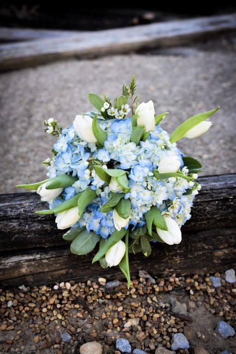 Simple and elegant bridal bouquet with white tulips. White Tulips And Blue Hydrangea, Hydrangea Tulip Bouquet, Blue Tulip Bouquet Wedding, Small Blue Flower Bouquet, Hydrangea And Tulip Bouquet, Blue Tulips Bouquet, Tulips Bridal Bouquet, Tulip Bouquet Wedding, Tulip Bridal Bouquet