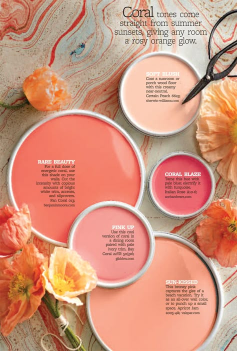 Coral Paint, Royal Nursery, Coral Accents, Shades Of Coral, Living Coral, Color My World, Paint Shades, Garden Features, Light Peach