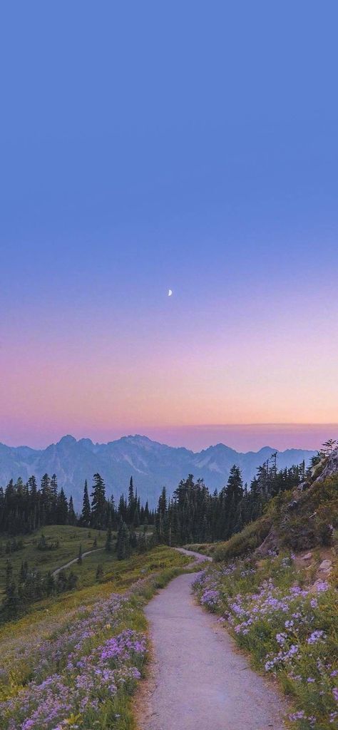 View Aesthetic Mountain, Sunset Mountains Wallpaper, Pastel Landscape Photography, Iphone 13 Cute Wallpaper, Serene Wallpaper Iphone, Peaceful Phone Wallpaper, Pretty Landscapes Wallpaper, Pretty Summer Wallpapers, Peaceful Wallpaper Iphone