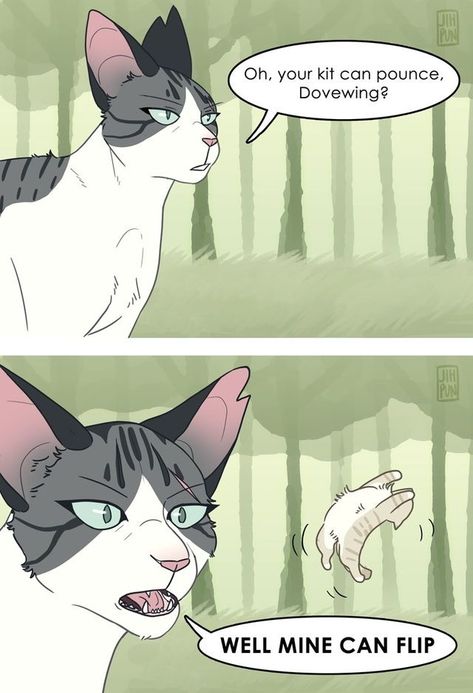 Tigerheart X Dovewing, Dovewing Warrior Cats, Ivypool Warrior Cats, Ivypool And Dovewing, Warriors Memes, Warrior Cats Funny, Warrior Cat Memes, Warrior Cats Comics, Warrior Cats Series