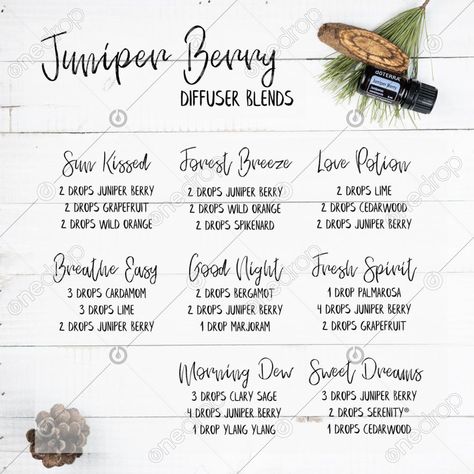 Juniper Oil, Juniper Essential Oil, Juniper Berry Essential Oil, Doterra Diffuser, Doterra Diffuser Blends, Essential Oil Combinations, Diffuser Blend, Essential Oil Diffuser Blends, Oil Diffuser Blends