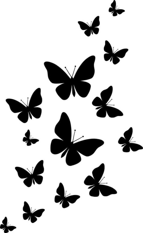 Silhouette Butterfly, Butterfly Black And White, Splash Images, Cricut Stencils, Butterfly Svg, Butterfly Template, Butterflies Svg, Butterfly Drawing, Cricut Joy