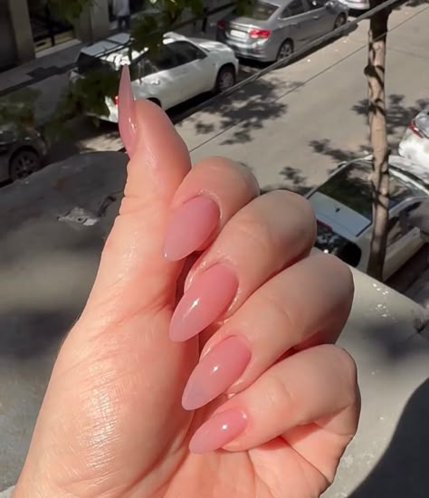 Pink Jelly Nails Acrylic Long, Transparent Pink Almond Nails, Pinkish Acrylic Nails, Almond Nails Jelly Pink, Elongated Almond Nails, Almond Nails Sheer Pink, Glossy Pink Almond Nails, Long Almond Jelly Nails, Almond Nails Clear Pink