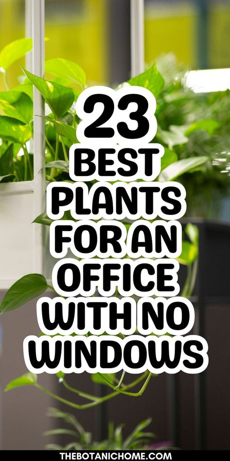 best plants to brighten a windowless office, showcasing indoor plants that thrive in low light for office decor and styling. Office Scent Ideas, Decorating Office Shelves At Work, Small Window Sill Plants, Plants For Work Office, How To Fit More Plants In A Room, Plants For Office Decorating Ideas, Plants For Desk At Work, Calm Office Space Decor, Best Office Plants No Windows