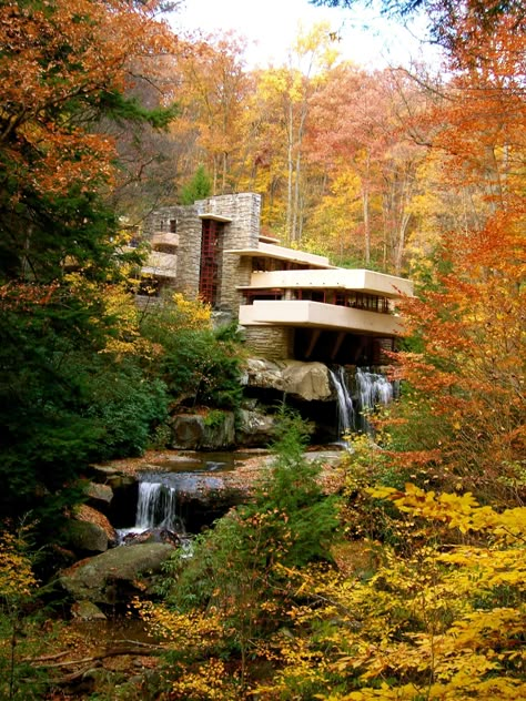 Architecture Cool, Frank Lloyd Wright Architecture, Falling Water, Room Deco, Baroque Architecture, Water Design, Frank Lloyd, Lloyd Wright, Frank Lloyd Wright