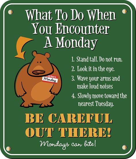 What to do when you encounter a Monday? funny monday humor happy monday monday morning monday greeting monday quote Monday Morning Greetings, Monday Morning Humor, Monday Inspirational Quotes, Monday Greetings, Monday Pictures, Monday Humor Quotes, Happy Monday Quotes, Monday Morning Quotes, Silly Quotes