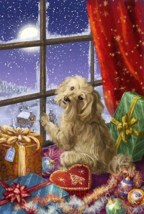 Štědrý Den, Advocate Art, Looking Out The Window, Old Christmas, Whimsical Christmas, Christmas Scenes, Noel Christmas, Merry Little Christmas, Vintage Christmas Cards