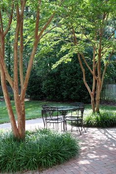 Brick Patterns Patio, Landscaping Around Trees, Myrtle Tree, Walkway Landscaping, Patio Pavers Design, Crepe Myrtle, Have Inspiration, Brick Patios, Garden Trees