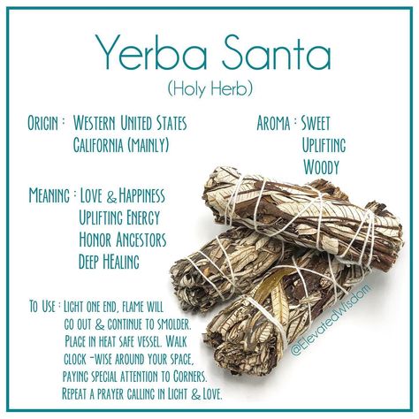 How To Make Incense, Homemade Incense, Yerba Santa, Hoodoo Spells, Magickal Herbs, Healing Magic, Sage Smudge, Magic Herbs, Kitchen Witchery