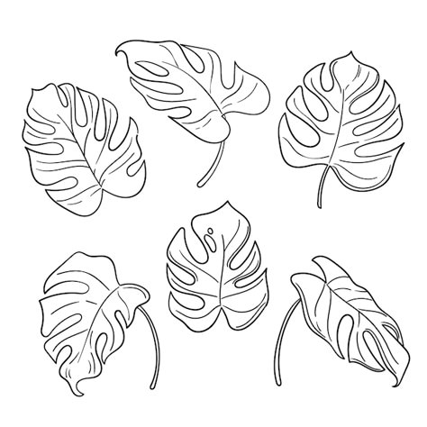 Palm Leaf Drawing Simple, Monstera Leaf Sketch, How To Draw Monstera Leaf, Monstera Leaf Illustration, Monstera Drawn, Monstera Leaves Drawing, Monstera Leaf Outline, Monstera Outline, Monstera Leaf Drawing