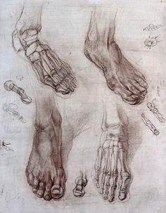 richie_rich Feet Drawing, Anatomy Bones, Male Figure Drawing, Academic Drawing, Human Anatomy Drawing, Human Figure Drawing, Human Anatomy Art, Academic Art, Anatomy Sketches