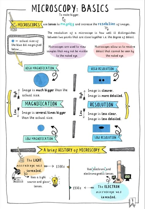 Get your FREE GCSE Biology Revision notes on microscopy. These colourful sketchnotes are a sample of Doctor Me Clever's guide to Edexcel 9-1 GCSE Biology Topic 1 Key Concepts in Biology. Now available as an ebook (doctormeclever.com) or paperback on amazon. #edexcel #aqa #biology #microscopy Gcse Biology Revision Notes, Biology Revision Notes, Gcse Notes, Gcse Science Revision, School Revision, Gcse Biology, Bio Notes, Health Economics, Science Revision