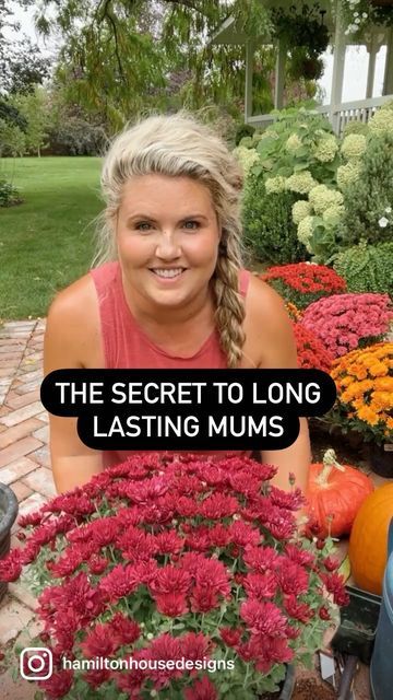 Mums Outdoor Decor, Pumpkin Mums Fall Decorating, Fall Front Porch With Mums, Fall Mums Front Porch, Mums In Flower Boxes, Mums Hanging Basket, How To Display Mums On Front Porch, Mum Container Ideas, Front Of House Fall Decor