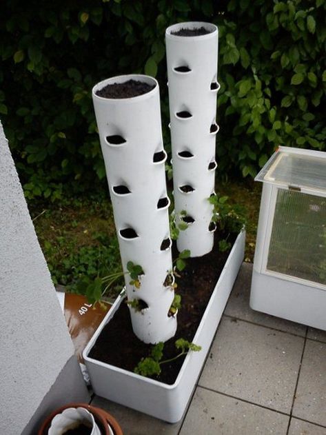 Vertical Planter Diy, Vertikal Garden, Vertical Vegetable Garden, Vertical Herb Garden, Vertical Garden Diy, Pvc Pipes, Vertical Planter, Bottle Garden, Hydroponic Gardening