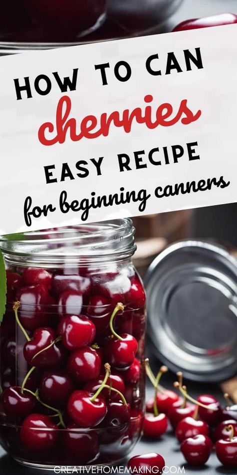 Learn how to can cherries at home with these simple and delicious recipes. Stock up on this versatile fruit and add a burst of flavor to your favorite dishes! How To Can Cherries, Canned Cherry Recipes, Can Cherries, Canning Cherries, Cherry Lemonade, Bing Cherries, Canned Cherries, Cherry Recipes, Cherry Juice