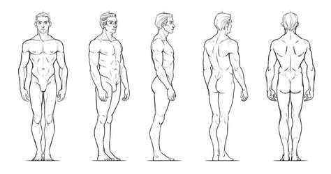 Front Back Side Reference, Side Full Body Reference, Holding Something Behind Back Pose, Male Anatomy Reference Models, Body Structure Drawing Anatomy Reference, Male Body Drawing, 3d Templates, Blender Ideas, Body Outline