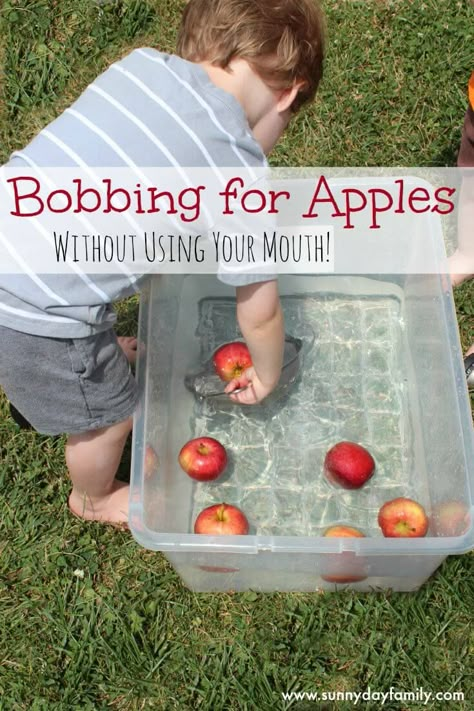 Apple bobbing activity for preschoolers who don't want to put their face in the water - this is a super fun alternative with lots of opportunities for learning! Apples For Toddlers, Apple Lesson Plans, Apple Theme Activities, Preschool Apple Activities, Preschool Apples, Apple Bobbing, Preschool Apple Theme, Apple Week, Apple Lessons