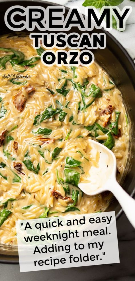 Creamy Tuscan Shrimp Orzo With Sun Dried Tomatoes, Easy Creamy Orzo Recipes, Orzo Recipes Creamy, Creamy Spinach Orzo Recipes, One Pot Healthy Orzo, Spinach And Sun Dried Tomato Recipes, Creamy Garlic Orzo Pasta, Orzo Recipes Non Dairy, Creamy Sundried Tomato Orzo