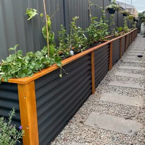 Planter Boxes Along Deck, Garden Boxes Around Deck, Garden Box Fence, Planter Box Garden Ideas, Garden Boxes Against Fence, Planter Box Landscaping, Planter Boxes Front Of House, Raise Planter Boxes, Planter Box Plants Outdoor