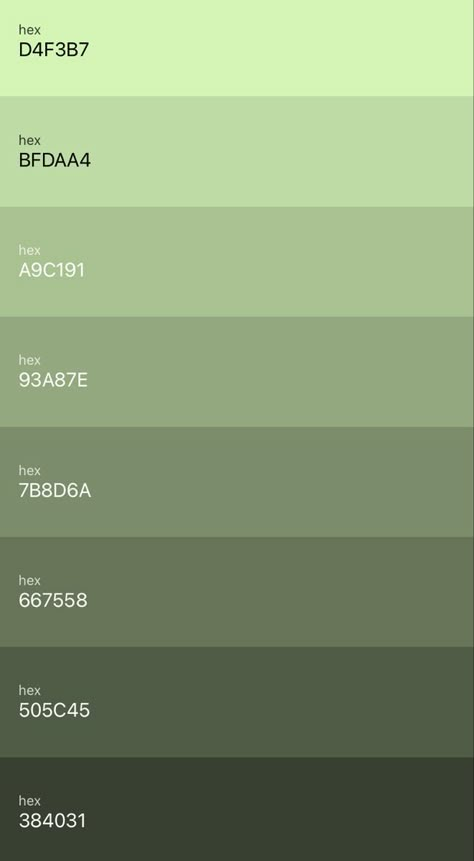 Aesthetic Green Colour Palette, Sage Green Shades Colour Palettes, Green Palate Color Palettes, Canva Sage Green Code, Sage Green Code Color, Sage Green Paint Swatch, Cute Green Color Palette, Colors Green Palette, Dark Green Pallete Color