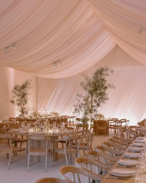 Draping Ballroom Wedding, Drapery On Ceiling, Draped Wedding Decor, Wedding Drapery Ideas Receptions, Draped Ballroom Wedding, Indoor Wedding Drapery, Draped Wedding Reception, Draped Ceiling Wedding, Drapes Wedding Decor