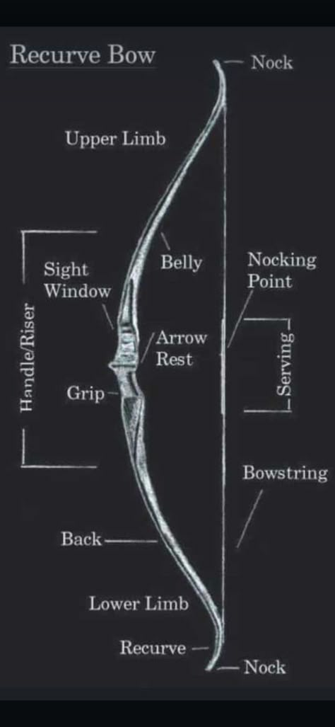 Recurve Bow Aesthetic, Bow And Arrow Quotes, Archery Videos, Archery For Beginners, Barebow Archery, Archery Sport, Horseback Archery, Archery Aesthetic, Archery Lessons