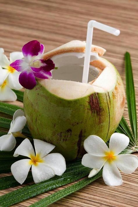 . Summer Themes, Coconut Drink, Healthy Nutrition Plan, I Need Vitamin Sea, Coconut Drinks, Fiesta Tropical, Brown Spots Removal, Green Shades, Tropical Drink