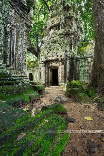 Ta Prohm temple, Cambodia (by Beboy_photographies on Flickr) Ta Prohm Temple, Ta Prohm, Temple Ruins, Cambodia Travel, Ancient Temples, Angkor Wat, Ancient Architecture, Ancient Ruins, Nature Photographs