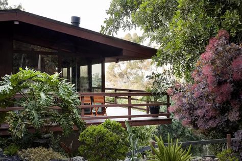 Photo 3 of 31 in The Wexler House by Lloyd Ruocco by Jeff Walker - Dwell Light Green Walls, Led Recessed Lighting, Hole In The Wall, Oak Wood Floors, Green Walls, Exterior Ideas, My Lifestyle, Mid Century Modern House, Deck Ideas