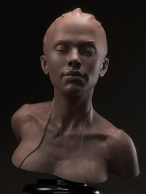 Zbrush Modeling, 3d Drawing Tutorial, Female Bust, Face Sculpture, Comic Face, Anatomy Sculpture, Sculpture Head, Head Sculpture, Bust Sculpture