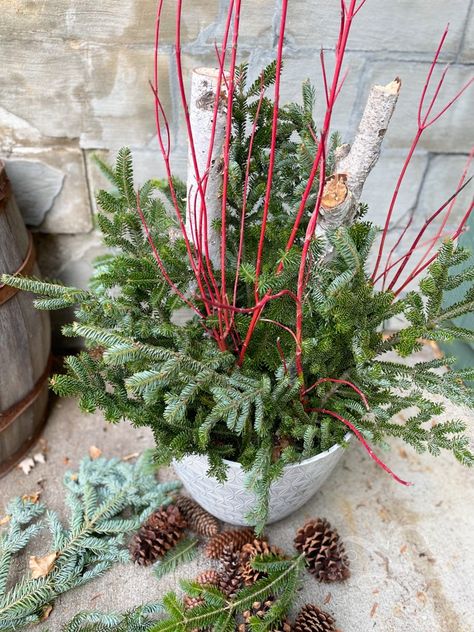 Learn how to make an outdoor planter for Chrismtas. This step by step tutorial will show you how you can make an outdoor planter this winter by gathering items from your own yard or a friend's! An outdoor planter is a fun way to decorate your front stairs or porch. #outdoorplanter #planter #diychristmasdecor #diychristmas Diy Outdoor Christmas Planter Ideas, Outdoor Christmas Planters Diy, Christmas Outdoor Pots Planters, Diy Christmas Planters Front Porches, Christmas Porch Pots Planters, Christmas Flower Pots, Christmas Outdoor Planters, Christmas Porch Pots, Christmas Planters Diy