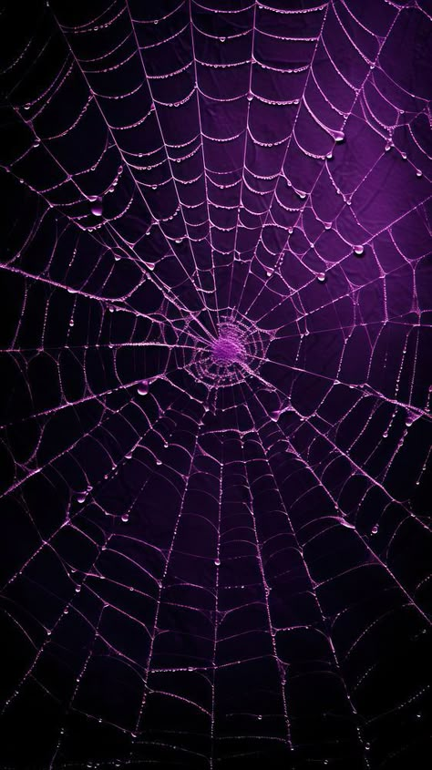 Dark purple spider web backgrounds arachnid invertebrate. AI generated Image by rawpixel. | free image by rawpixel.com / Boom Purple Spider Web Wallpaper, Purple Spider Wallpaper, Purple Spider Aesthetic, Dark Purple Background Aesthetic, Spiders Aesthetic, Spider Web Aesthetic, Purple Halloween Wallpaper, Spider Background, Spider Web Wallpaper