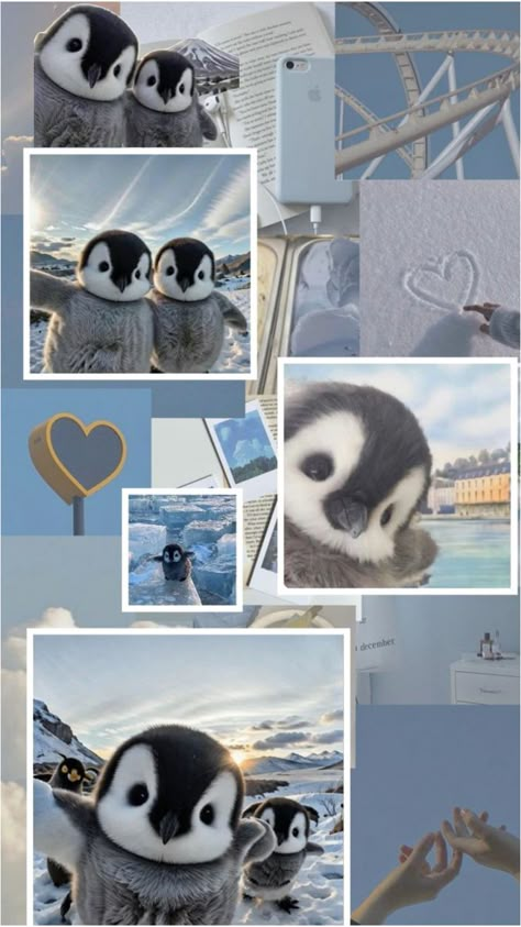 Penguin Wallpaper, Penguin Couple, Penguin Pictures, Cute Dog Wallpaper, Cute Small Animals, Baby Wallpaper, Baby Penguins, Wallpaper Laptop