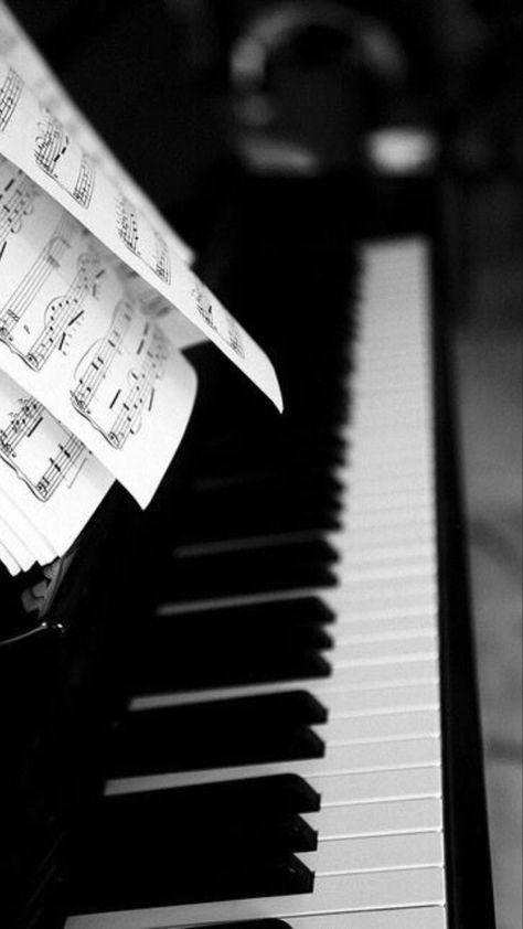 Wallpaper Piano, Piano Photography, Piano Keyboard, Wallpaper Bts, Terry Pratchett, Piano Keys, Playing Piano, Learn Piano, Neil Gaiman