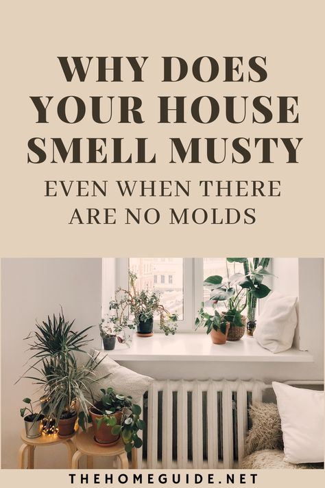 Deodorize House, Musty Smell In House, Old House Smells, Basement Odor, Clean House Smell, Make Your House Smell Good, Mold Smell, House Smell Good, Smells Good