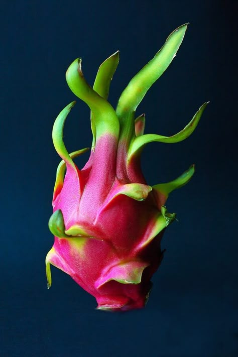 Dragon Fruit Benefits, Red Dragon Fruit, Buah Naga, Thanh Long, Pink Dragon, Fruit Photography, Beautiful Fruits, Exotic Fruit, Tropical Fruits