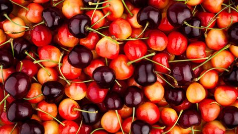 Types Of Cherries, Cherry Jubilee, Rainier Cherries, Cherry Ice Cream, Cherry Blooms, Bing Cherries, 1970s Disco, Cherry Season, How To Make Pie