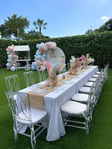 Gender Reveal Chair Decor, Simple Classy Gender Reveal, Gender Reveal Decorations Outdoor Table, Gender Reveal Table Set Up Outside, Gender Reveal Tablescape, Gender Reveal Party Set Up, Gender Revel Decoracion, Table Decor Gender Reveal, Backyard Gender Reveal Party Ideas