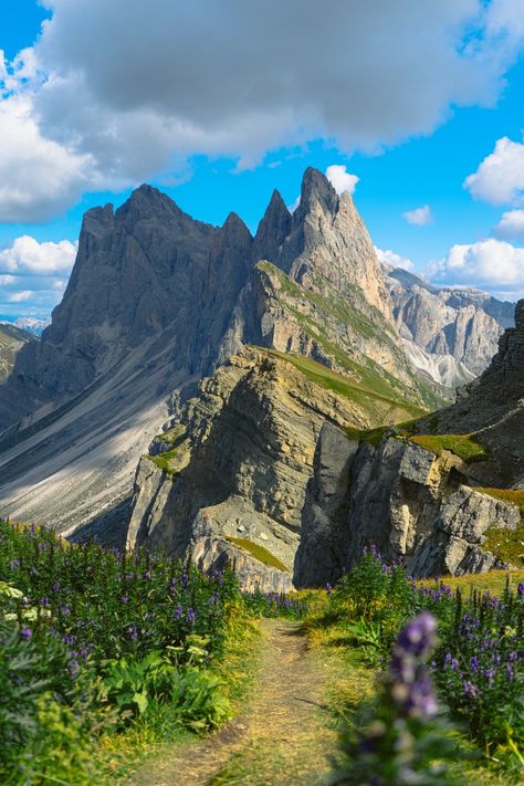 How To Visit Seceda In The Italian Dolomites (No Hiking) Italian Dolomites, Thailand Itinerary, Italian Alps, Italy Photography, Europe Tours, Scotland Travel, Quick Guide, Beautiful Mountains, Hiking Trip