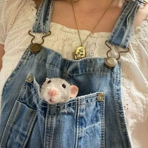 Rattus Rattus, Cute Animal Character, Fancy Rats, Dumbo Rat, Baby Rats, Rat Look, Rat Cage, Fancy Rat, Rat Terrier