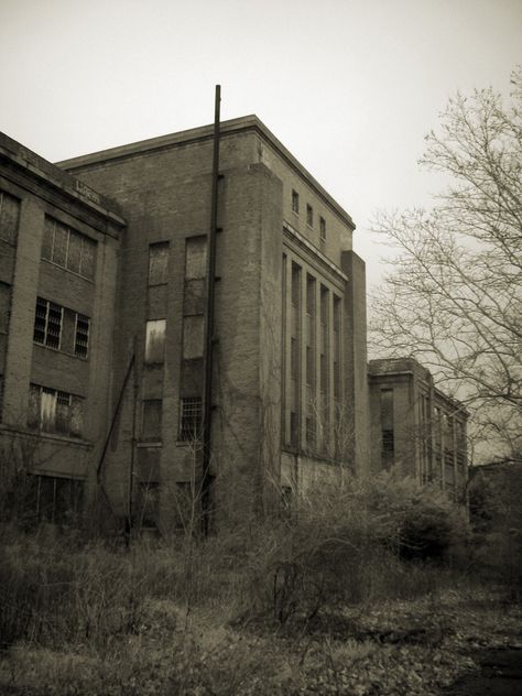 Haunted Asylums, Abandoned Asylums, Insane Asylum, Abandoned Hospital, Creepy Places, Spooky Places, City Farm, Mental Hospital, Forgotten Places