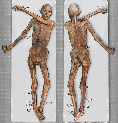 5,000-year-old Iceman had 61 Tattoos Otzi The Iceman, Ötzi The Iceman, Mother And Son Tattoo, Early Man, Son Tattoo, Ice Man, History Tattoos, Ancient Tattoo, The Iceman